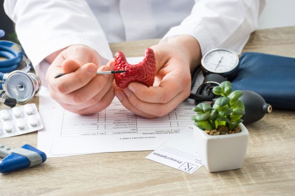 Štitna žlezda doktor endokrinolog