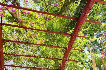 Drvena pergola sa mrežom obrasla zelenim listovima i roze bugenvilijama